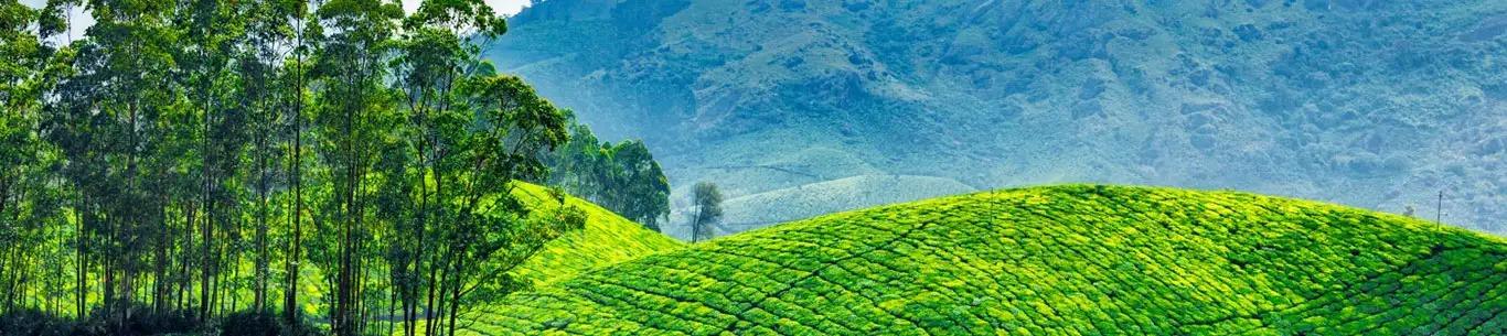 Kerala Tour Packages  